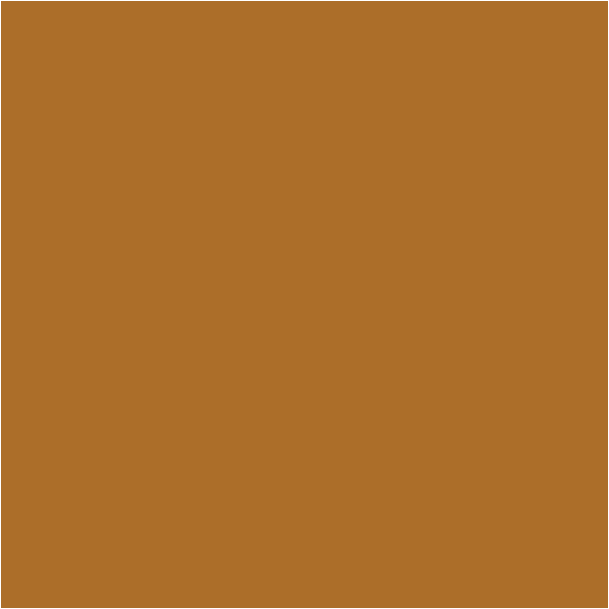 Carhartt Brown